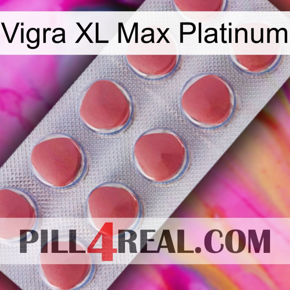 Vigra Xl Max Platinum 18.jpg